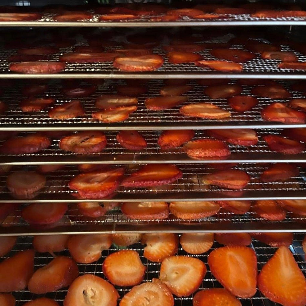 Fresas deshidratadas artesanales Juisanni sin azúcar añadida. 🍓